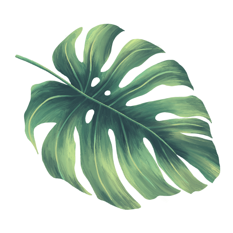 foto hoja