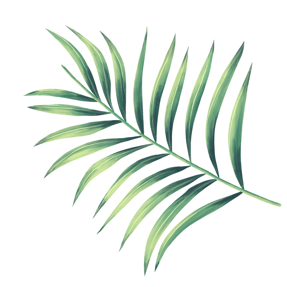 foto hoja